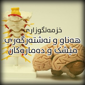 Neurology 1
