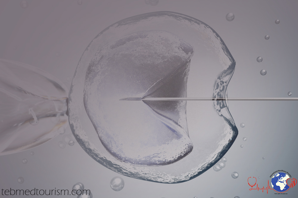 laboratory-microscopic-research-of-ivf-in-vitro-fertilization-3d-rendered-illustration