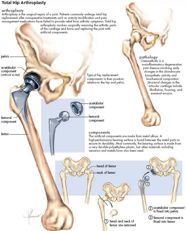 ga546103-fig1