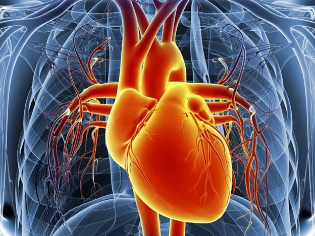 جراحی قلب باز جراحة القلب المفتوح