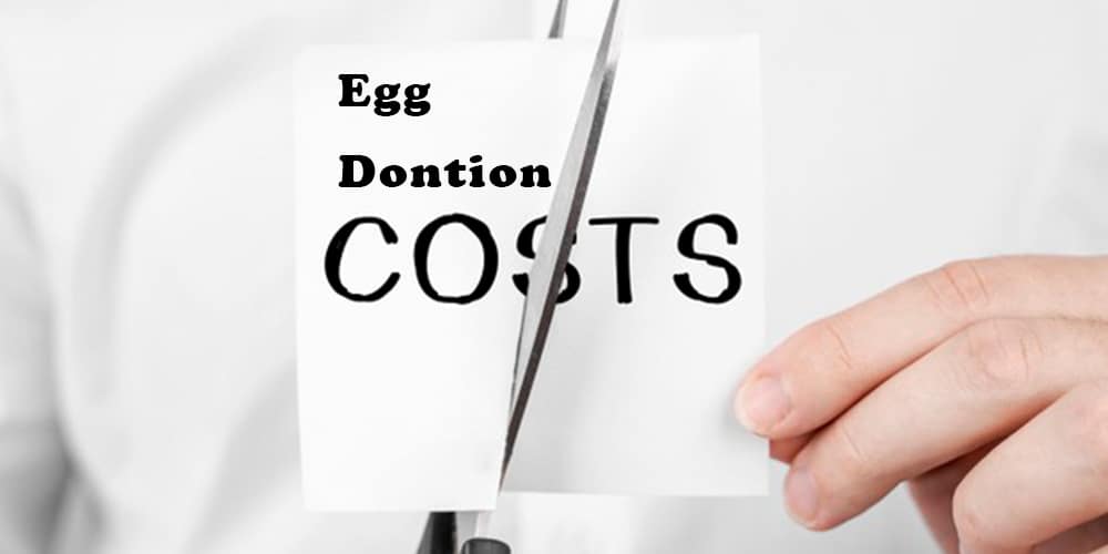 ناباروری به روش اهدای تخمک چقدر هزینه دارد
