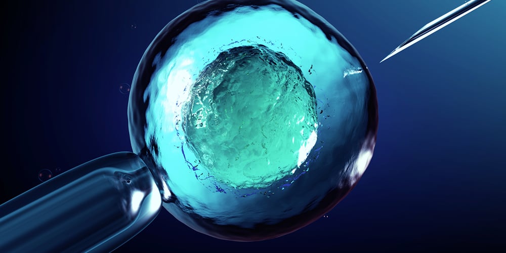 میزان-موفقیت-iui-در-مقایسه-با-ivf