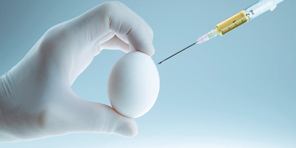 ivf-بالبويضات-المتبرع-بها-في-إيران