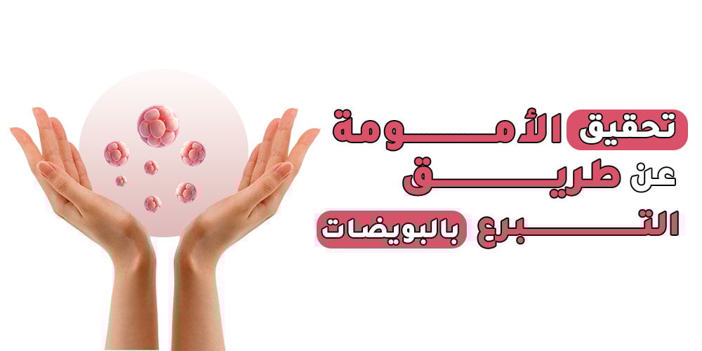 egg-donation