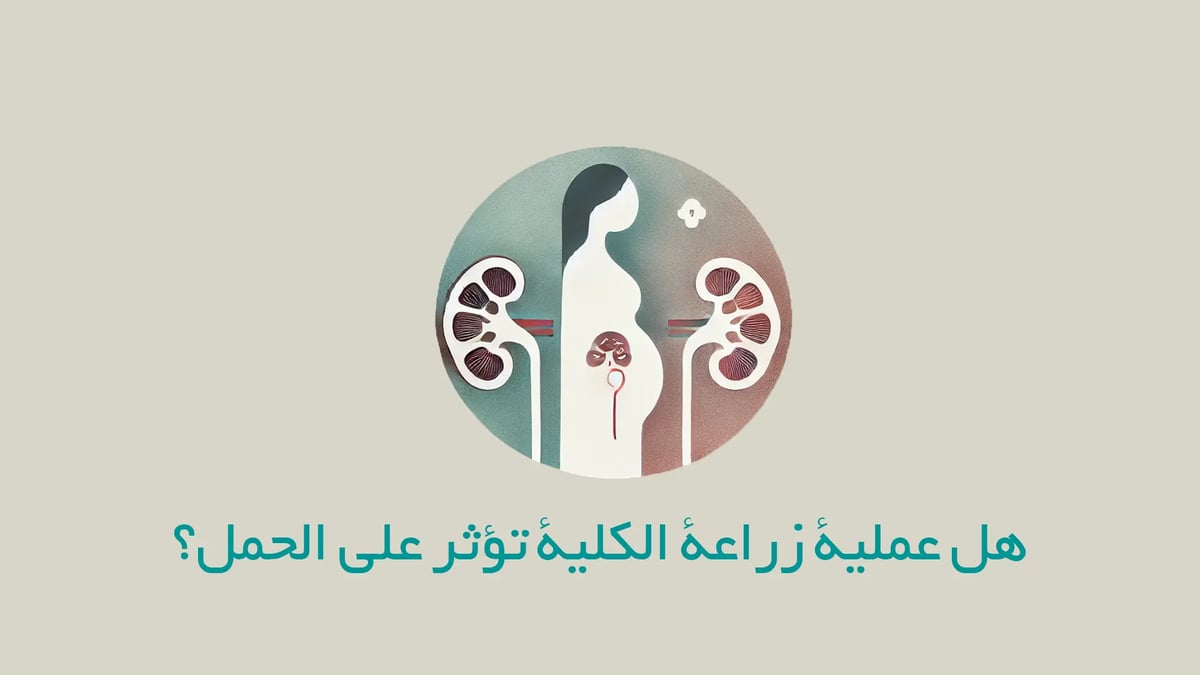 هل-عملية-زراعة-الكلية-تؤثر-على-الحمل؟