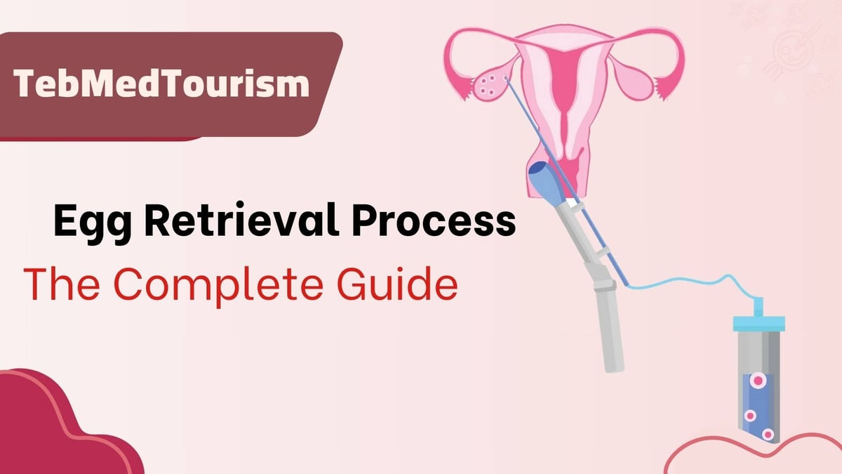 Egg-Retrieval-Process