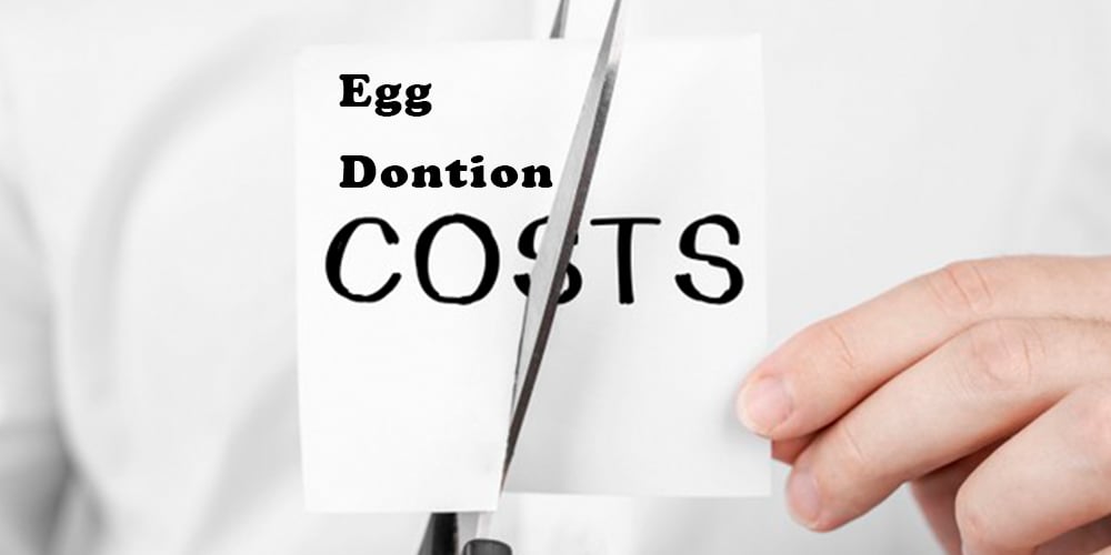 egg-donation-cost