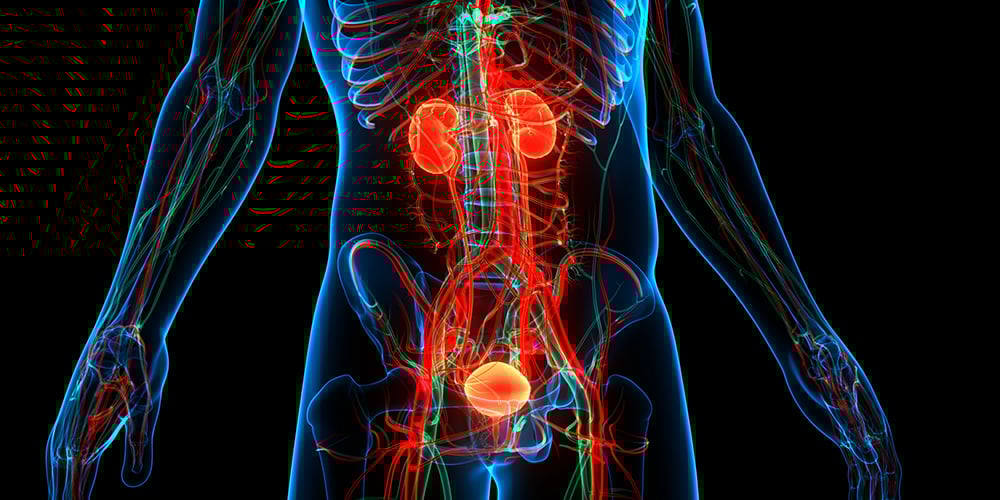 immunosuppression-medication-in-kidney-transplant-patients