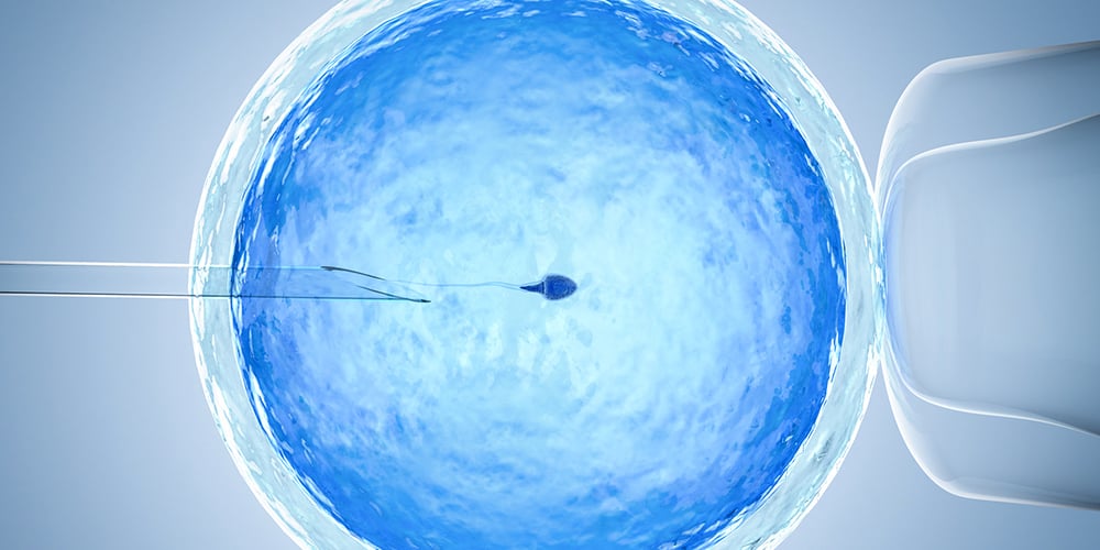 iui-vs-ivf-success-rate