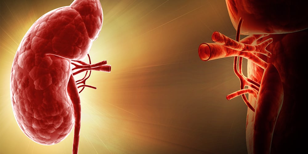 kidney-transplant-cost-in-iran