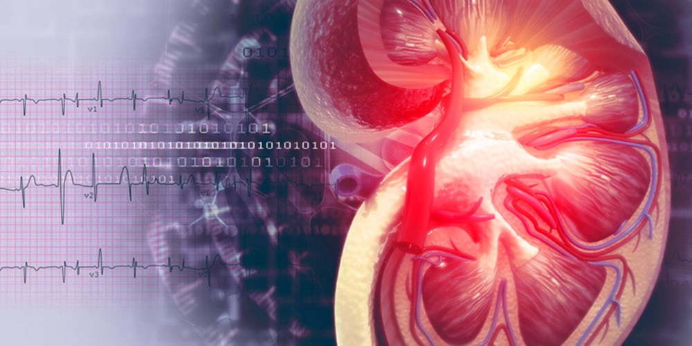 signs-of-kidney-transplant-rejection