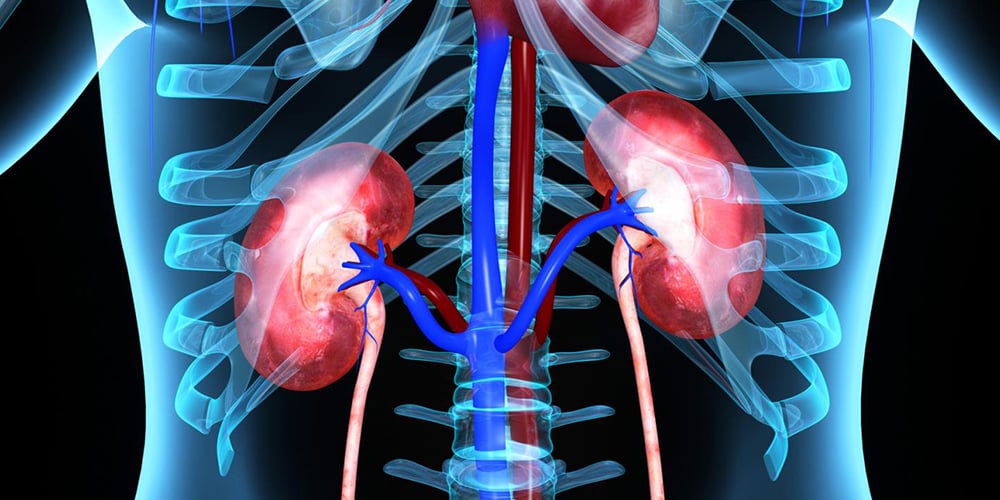 life-after-kidney-transplant