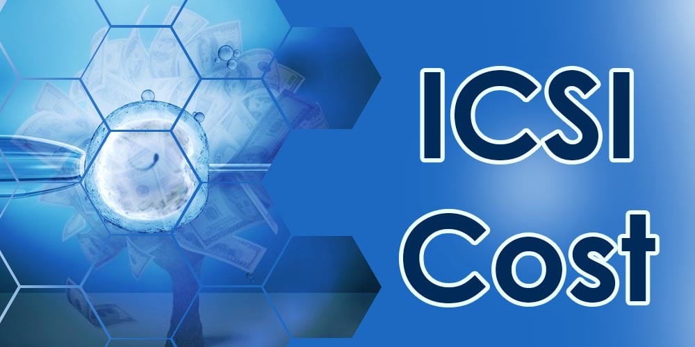 icsi-cost