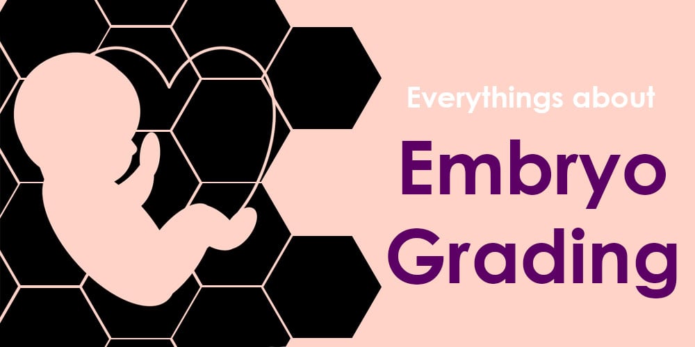 embryo-grading