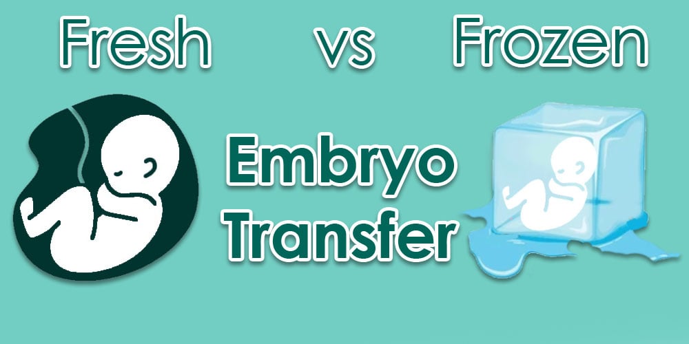 fresh-vs-frozen-embryo-transfer