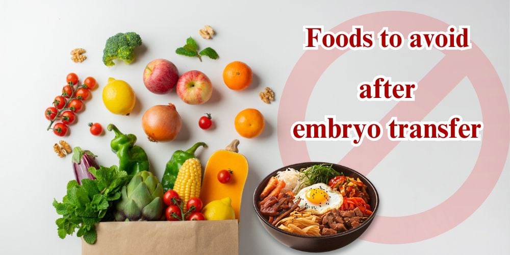 foods-to-avoid-after-embryo-transfer