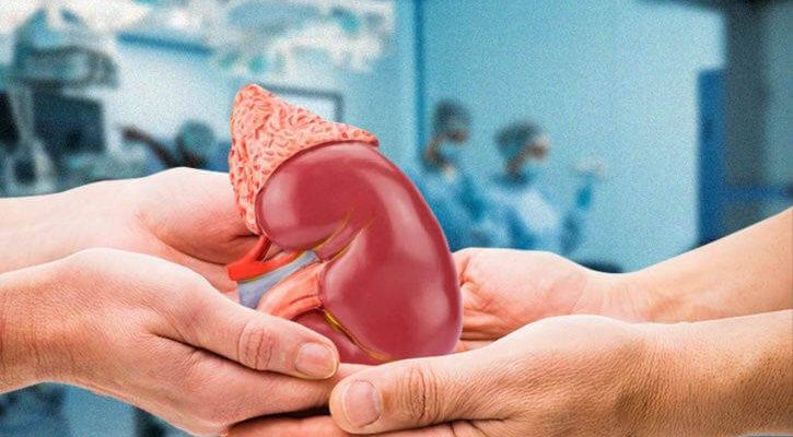 iran-the-best-destination-for-kidney-transplant