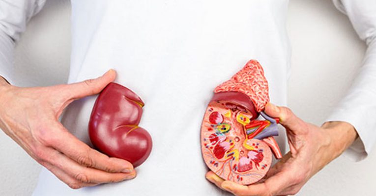 what-are-the-pros-and-cons-of-kidney-transplant