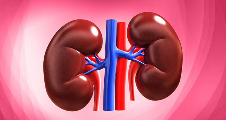 10-common-signs-of-kidney-failure