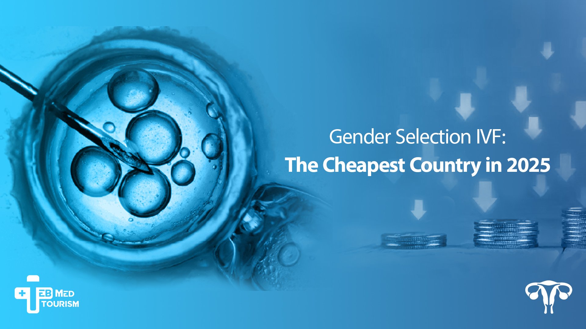 Which country is the Cheapest for Gender Selection in 2025?