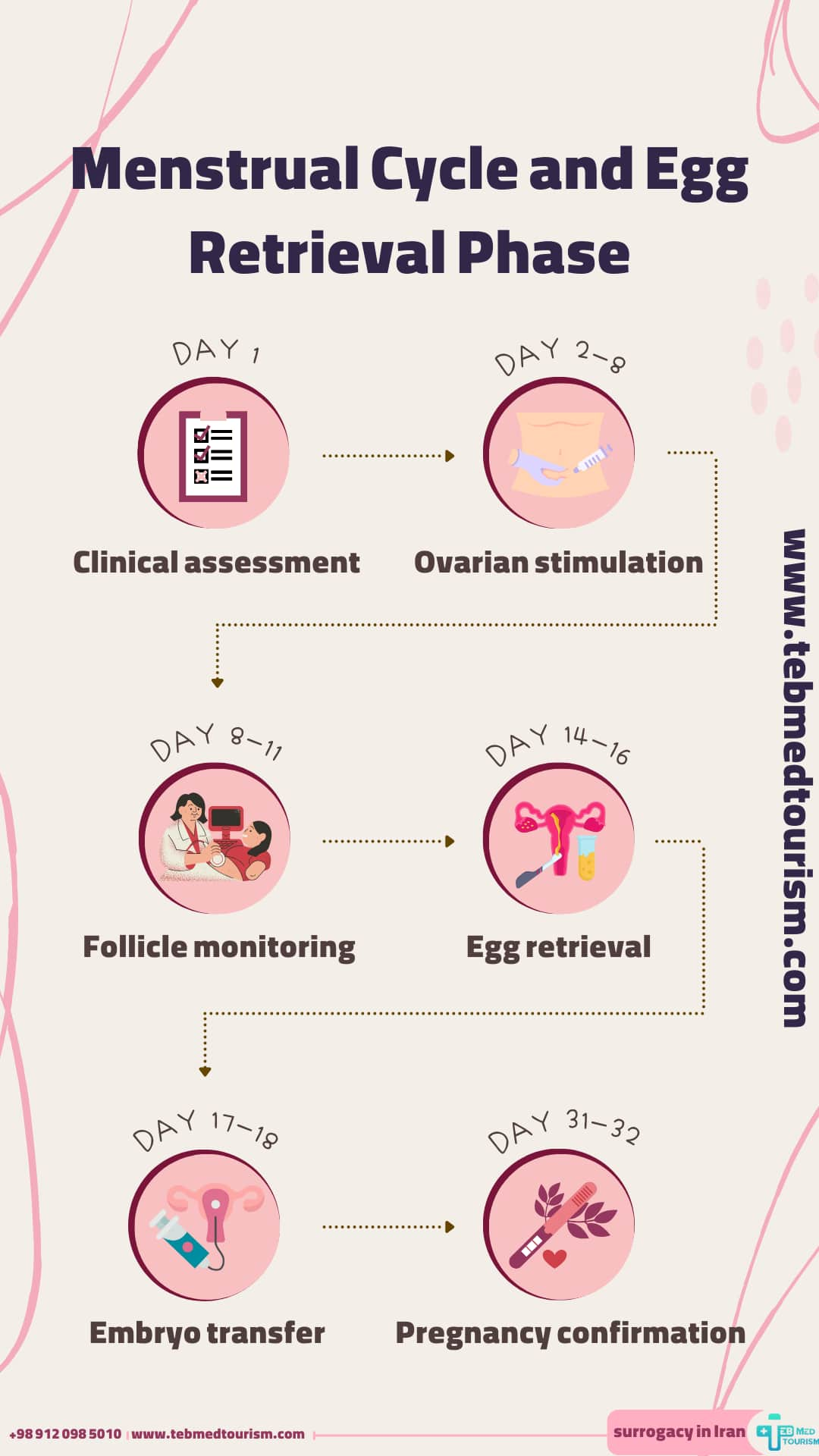 Step-by-Step Guide to Menstrual Cycle and Egg Retrieval Process in Fertility Treatment