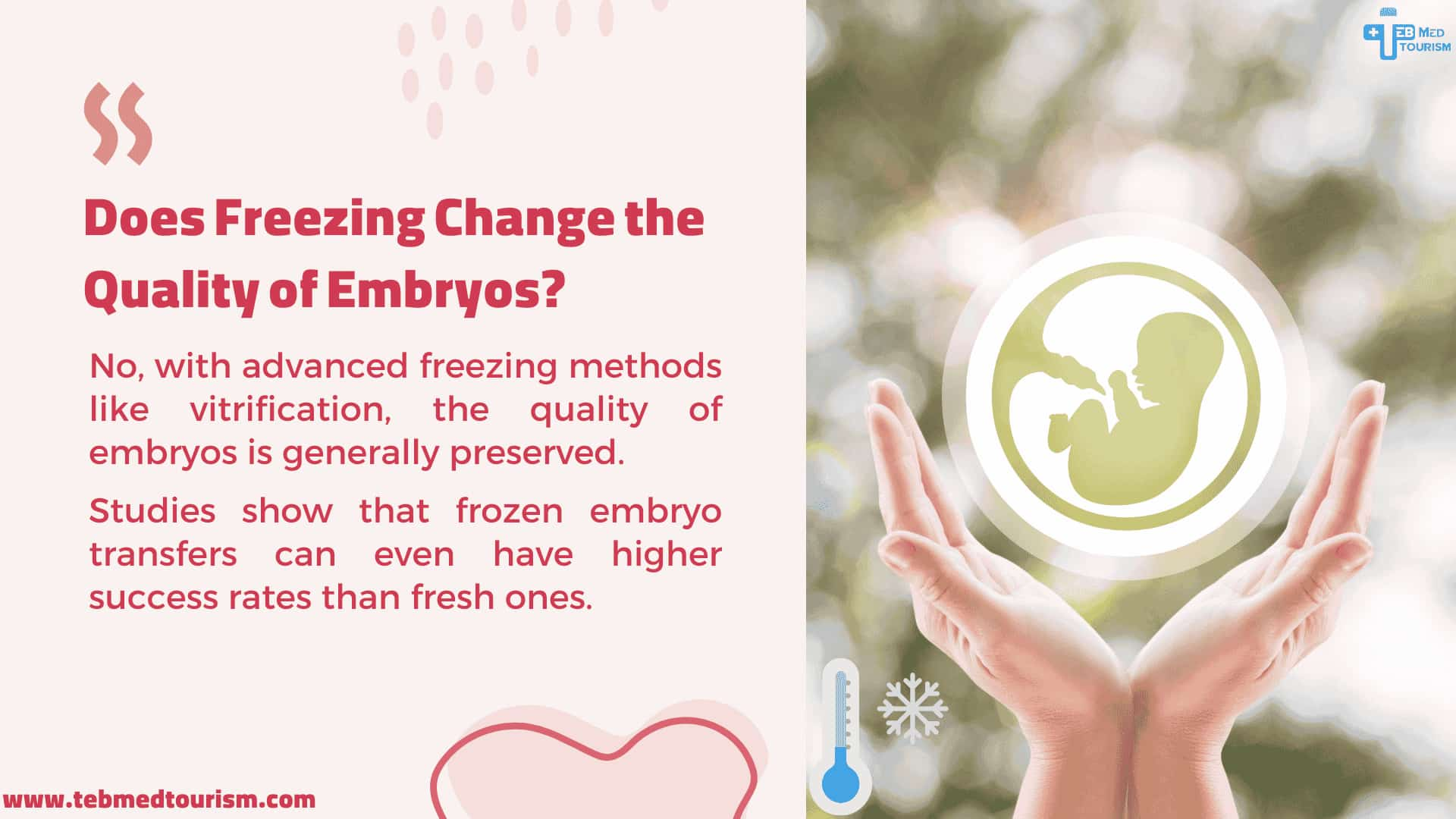 Informative graphic discussing the impact of freezing on embryo quality. Text states that modern freezing methods like vitrification do not typically degrade embryos, and frozen embryo transfers can have higher success rates. Image shows hands holding an embryo and a thermometer symbol.