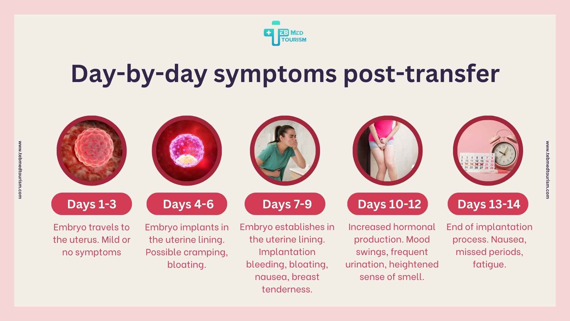 An infographic showing day-by-day symptoms post-embryo transfer, from mild symptoms to increased hormones, bloating, nausea, and missed periods.