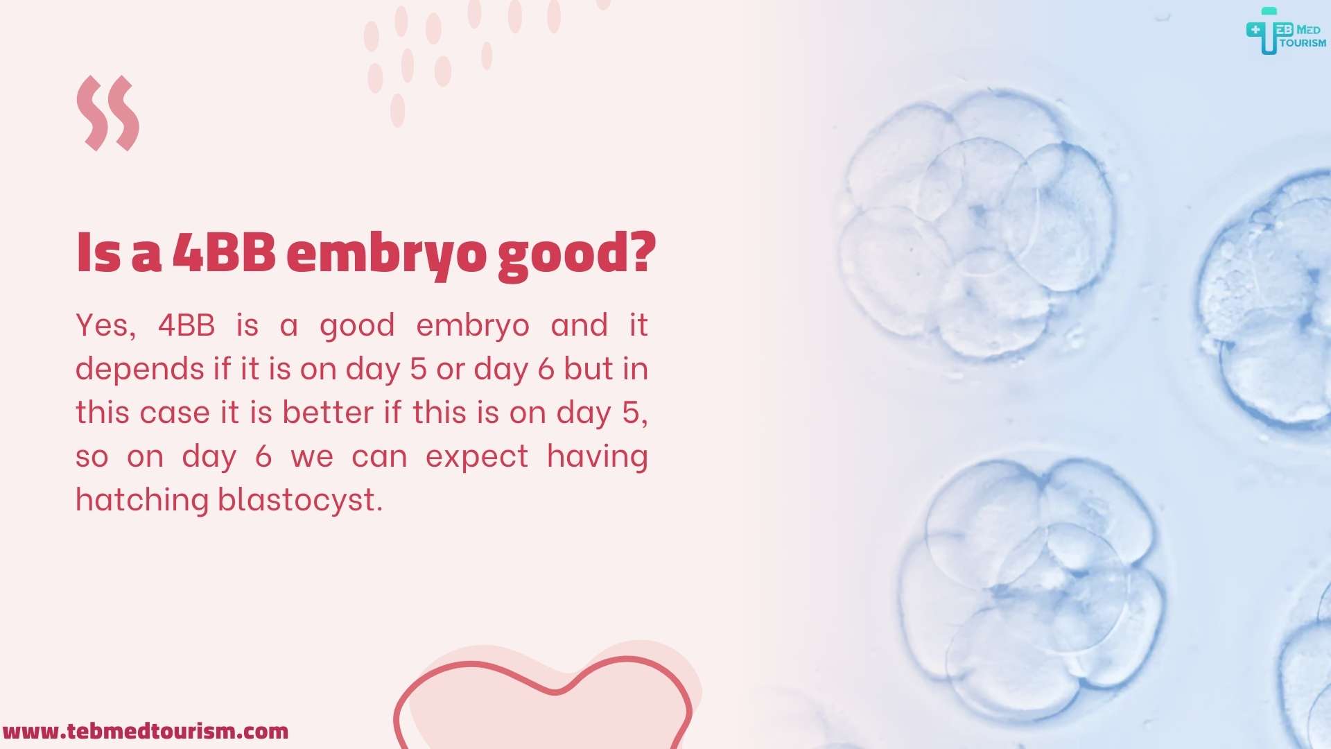 is a 4bb embryo good?