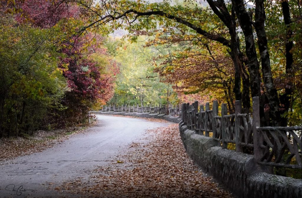 golestan forest