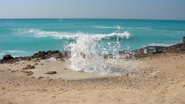 ladies beach