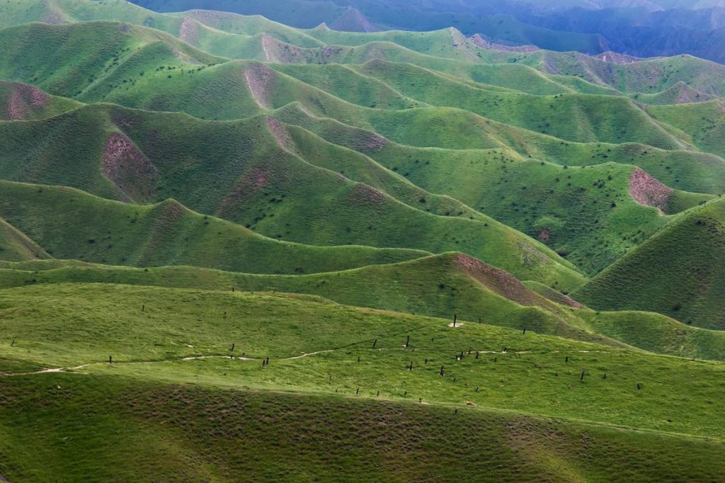 Turkmen Sahra