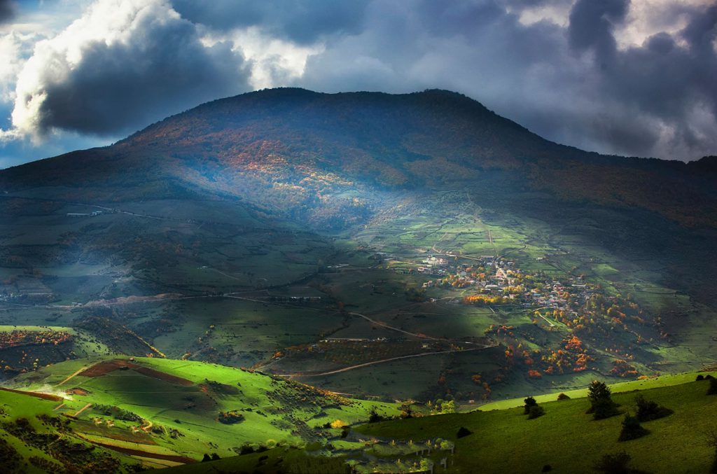 mazandaran forest