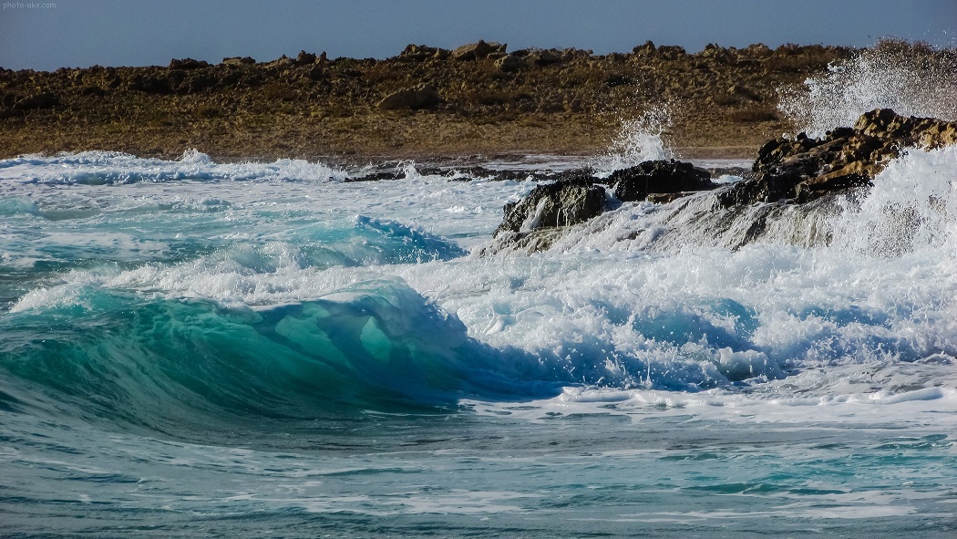 wave sea surf2