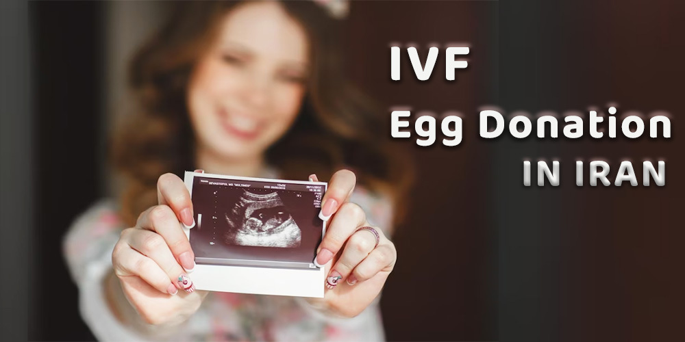 IVF Egg donation in Iran