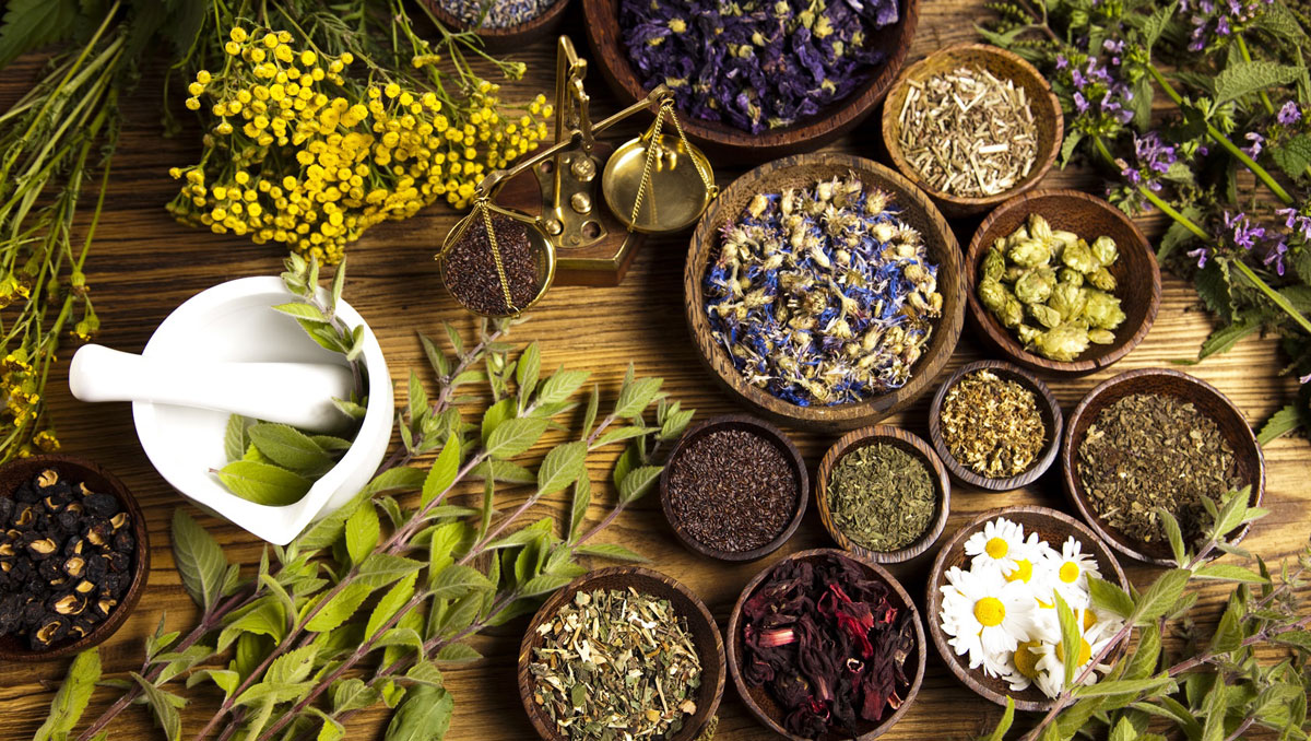 Herbal medicine and medical herbs | With Visa, Hotel, Transfer