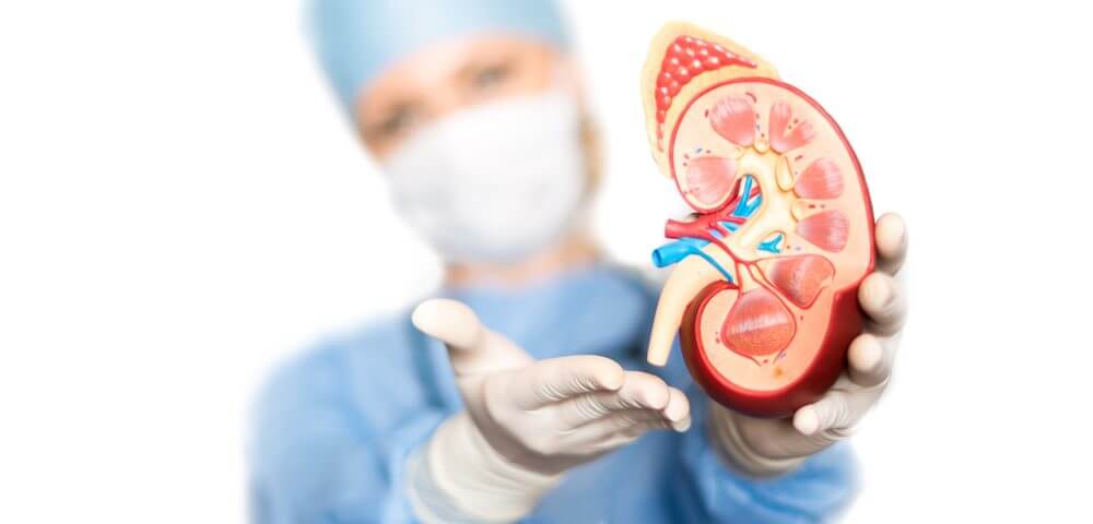 Kidney Transplant