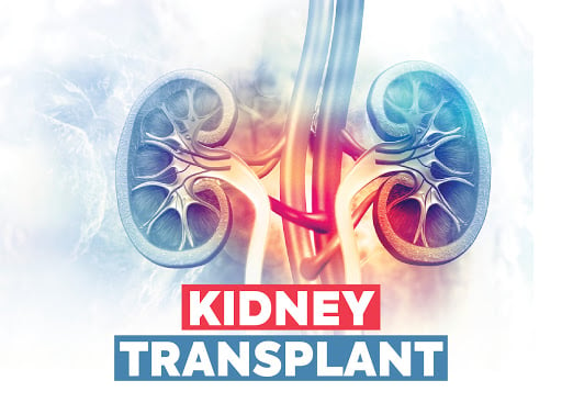 Kidney Transplant