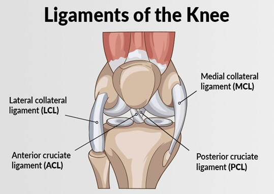 acl pcl