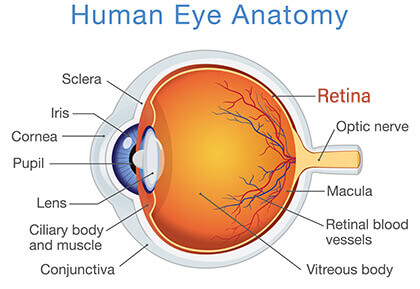 retinopathy