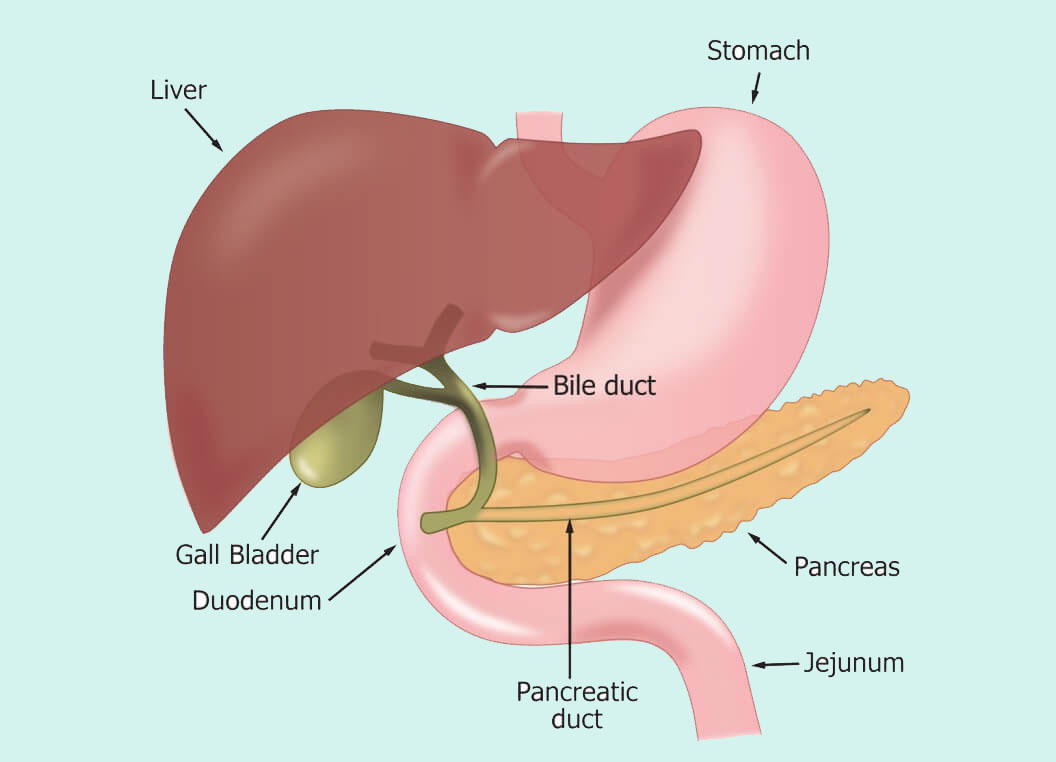 laparoscopic-cholecystectomy-in-iran