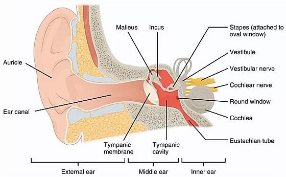 tympanoplasty