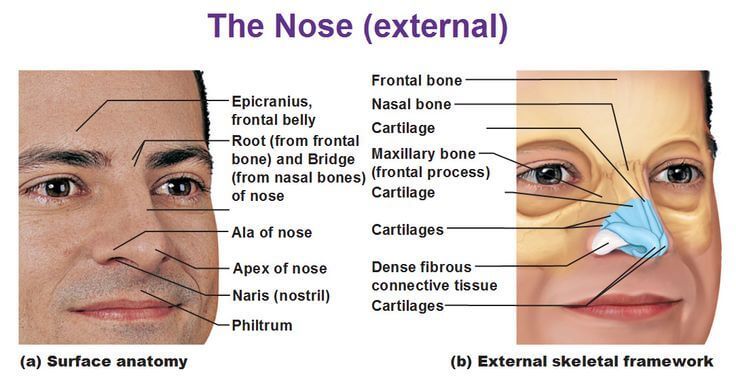 Rhinoplasty nose job in Iran