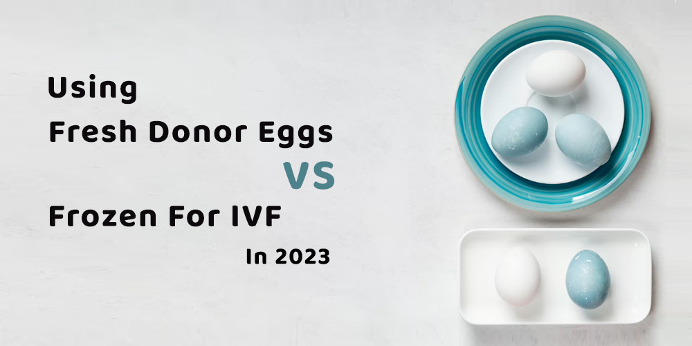 Using fresh donor eggs vs frozen for IVF in 2023