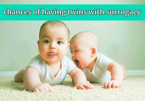 having twins meme