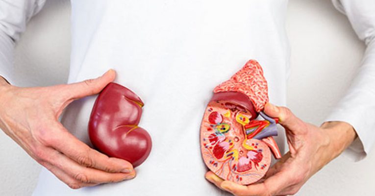 pros and cons of kidney transplant