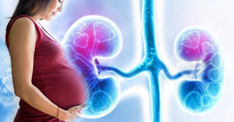 Does kidney transplant affect the pregnancy