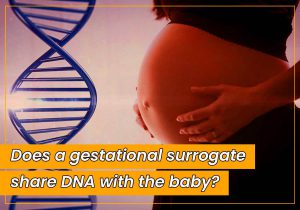 Does a gestational surrogate share DNA with the baby?