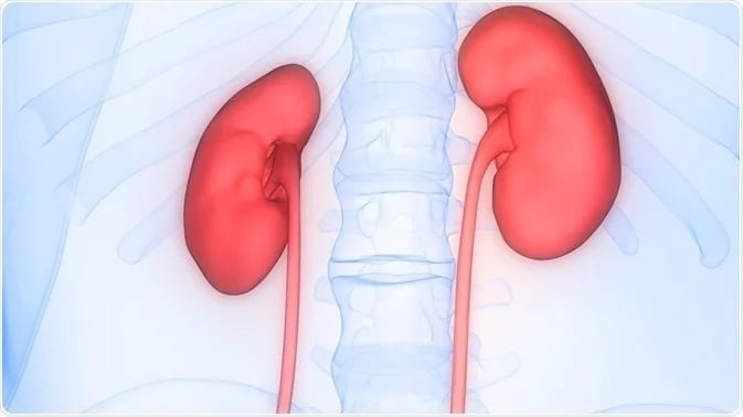 Cancer after kidney transplantation