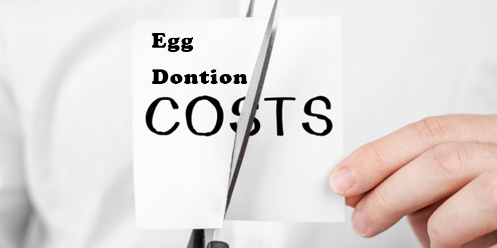 EGG DONATION COST