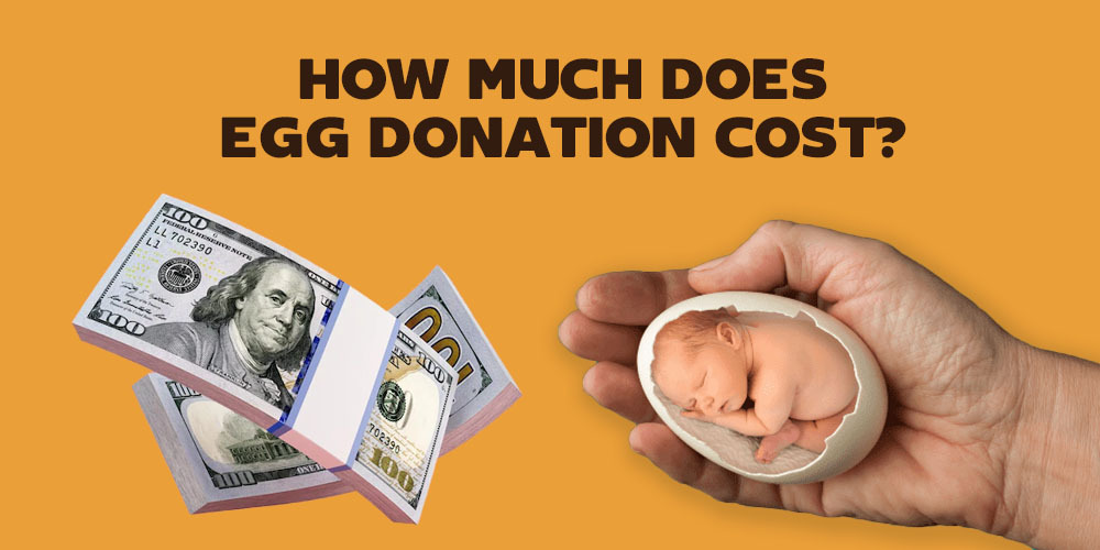 HOW MUCH DOES EGG DONATION COST?